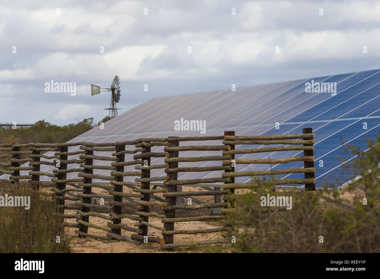 Energia solare i pannelli fotovoltaici, nel lungo banco in natura per convertire la luce solare in energia per vivere verde in Sud Africa con il vento alle spalle della pompa Foto Stock