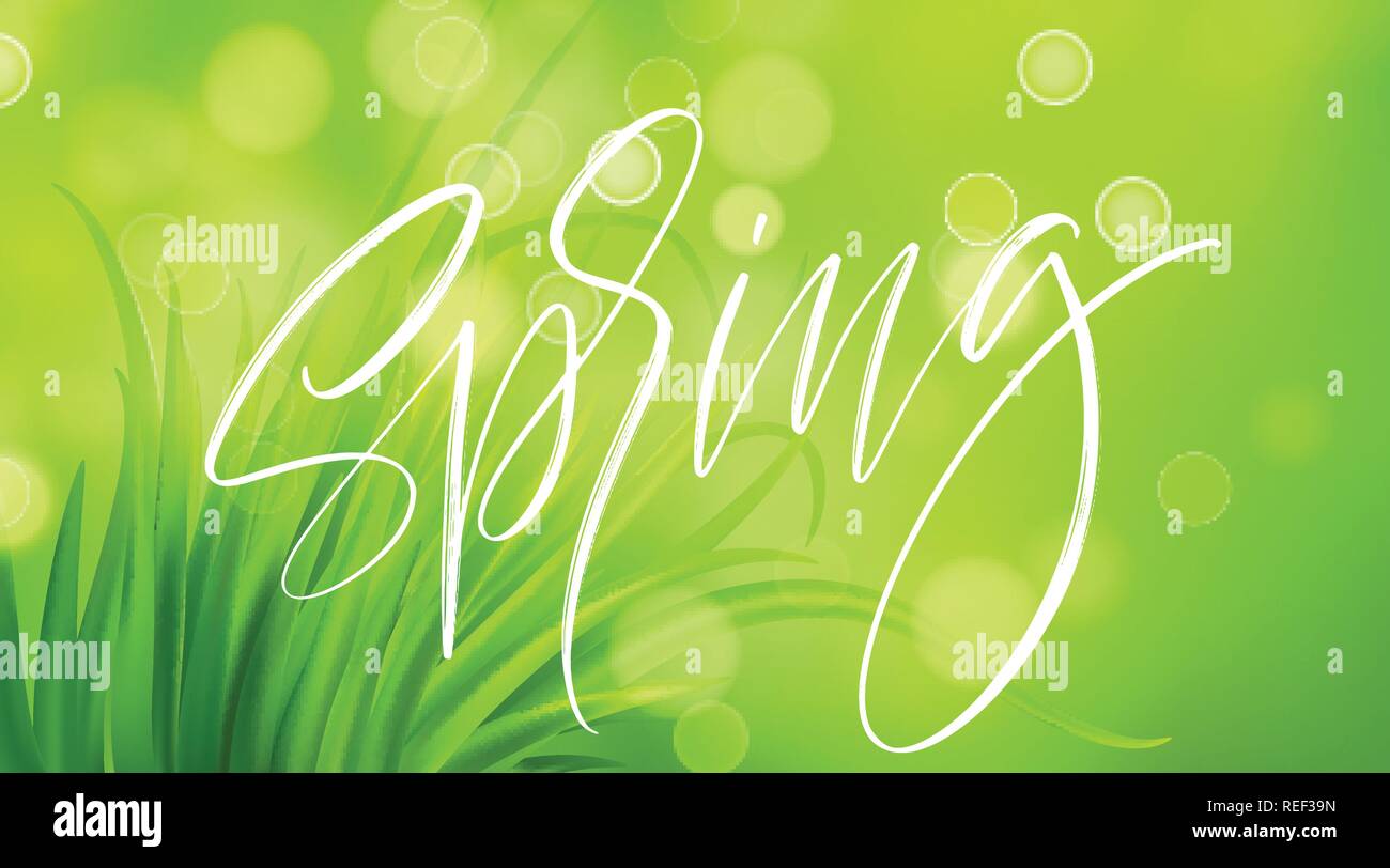 Molla Frash erba verde dello sfondo con la grafia lettering. Illustrazione Vettoriale Illustrazione Vettoriale