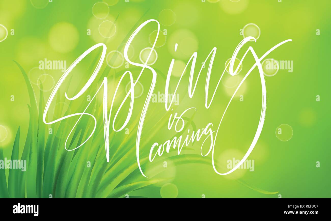 Molla Frash erba verde dello sfondo con la grafia lettering. Illustrazione Vettoriale Illustrazione Vettoriale