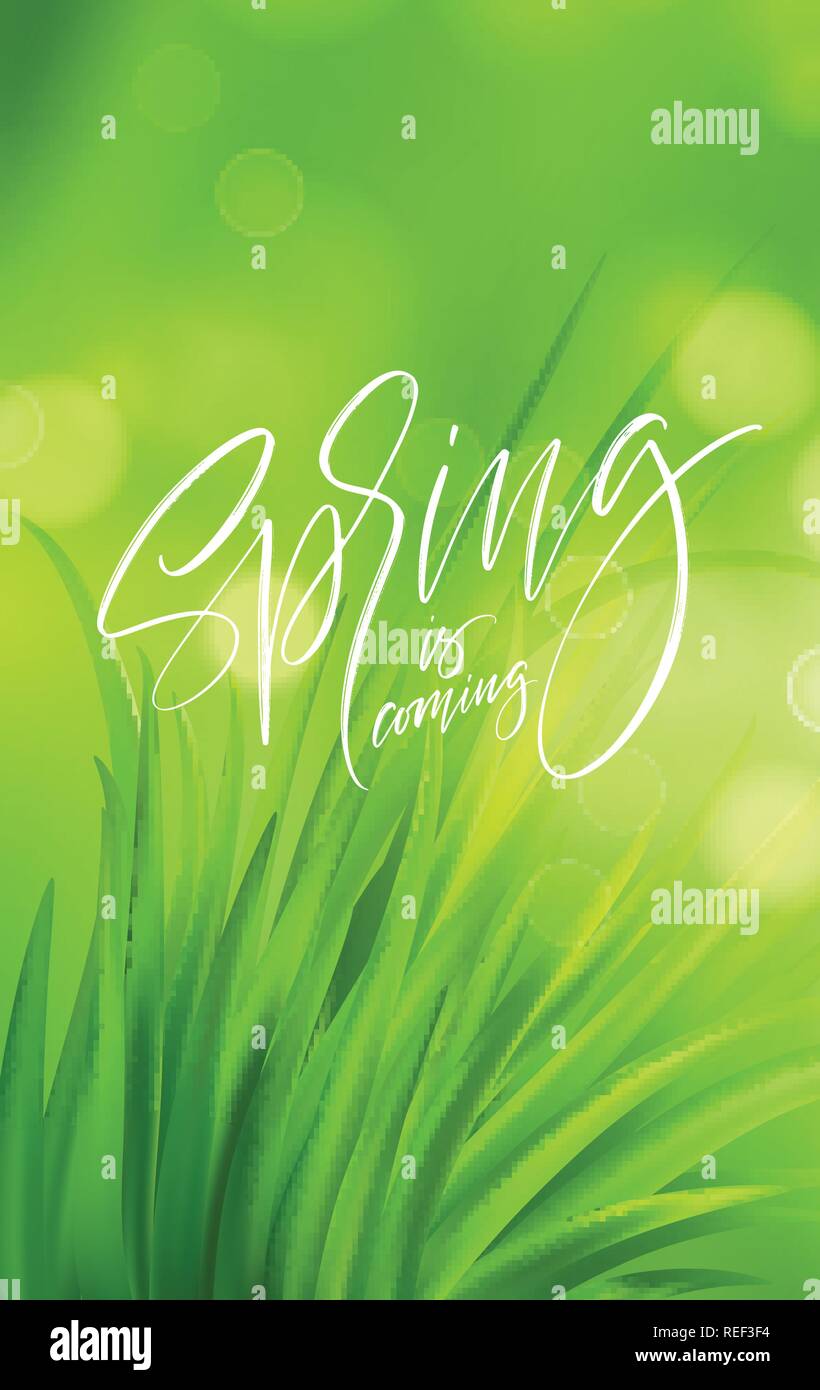 Molla Frash erba verde dello sfondo con la grafia lettering. Illustrazione Vettoriale Illustrazione Vettoriale