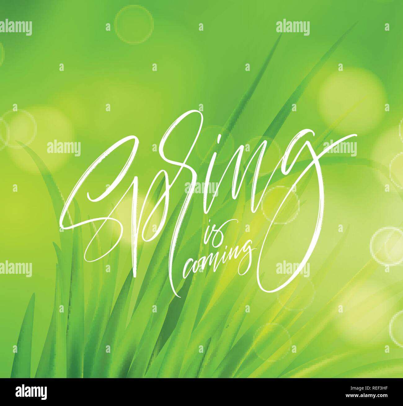 Molla Frash erba verde dello sfondo con la grafia lettering. Illustrazione Vettoriale Illustrazione Vettoriale