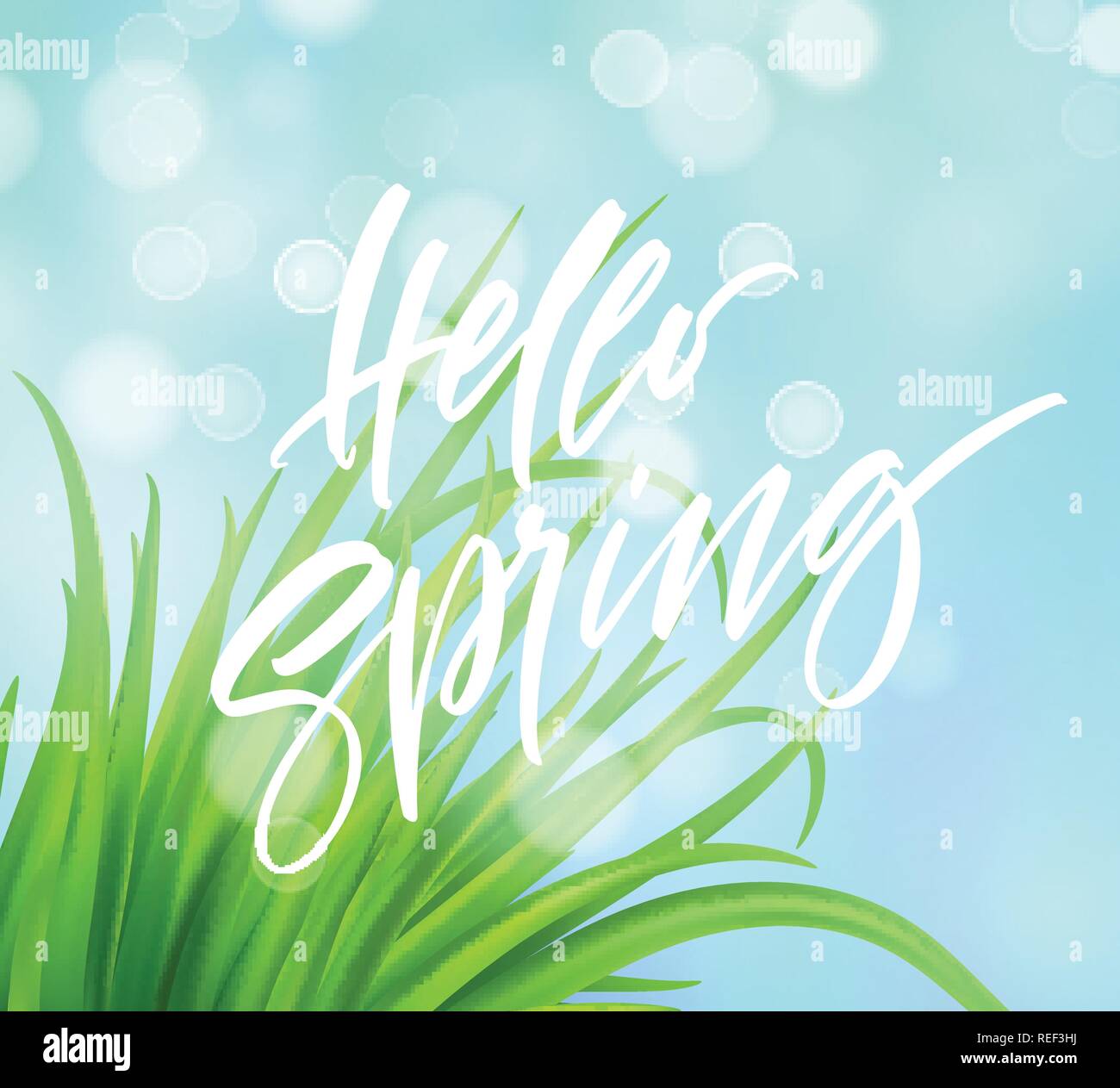 Molla Frash erba verde dello sfondo con la grafia lettering. Illustrazione Vettoriale Illustrazione Vettoriale