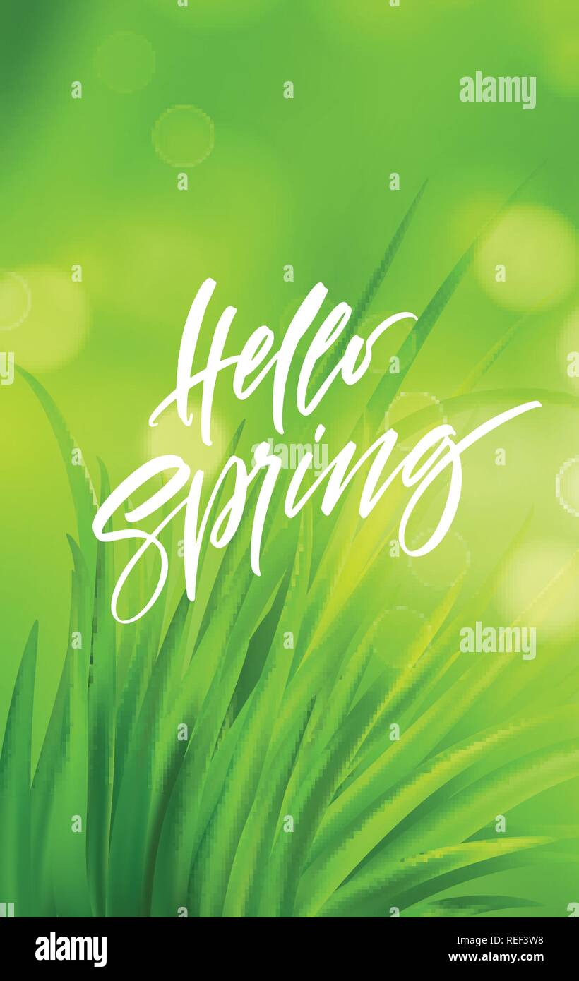 Molla Frash erba verde dello sfondo con la grafia lettering. Illustrazione Vettoriale Illustrazione Vettoriale