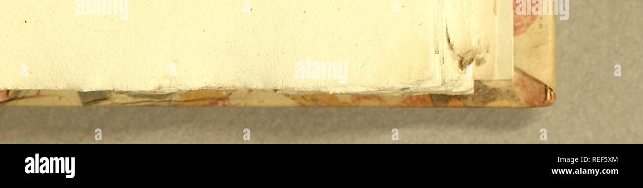 . Compendio de observaÃ§oens, : que fÃ³rmaÃµ o plano da viagem italiano, e filosofica, que se svil fazer dentra da patria. Dedicado una Sua Alteza Real o Serenissimo Principe do Brasil. Storia naturale; miniere e delle risorse minerali; industria della seta; Imprint 1783. das obrigaÃ§Ãµes Ã o Viajante. 119 Caixas, PrerÃ-ofidades, Medicina, (a) un que ufo finalmente os applicaÃ paiz n. XIII. Em que partes, habitao fe no Mar , Rios , Fontes, Alagoas, PoÃ§os, Terra , Plantas, &amp;c. XIV. De quefe fuftentaÃ³, fede CadÃ¡veres, Madeiras, InfcÃ©kos, Mirai* mundicies. XV. Quacs os inÃ-lrumenfos r e mcthodos, com q Foto Stock