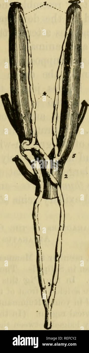 Il Disegno Ricorda Immagini E Fotos Stock Alamy
