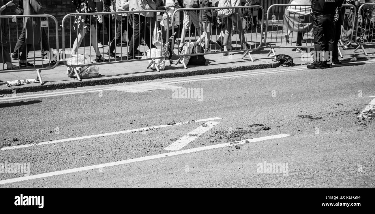 WINDSOR, BERKSHIRE, Regno Unito - 19 Maggio 2018: letame di cavallo a sinistra su Central High Street dopo il Royal Ascot Landau carrello Foto Stock