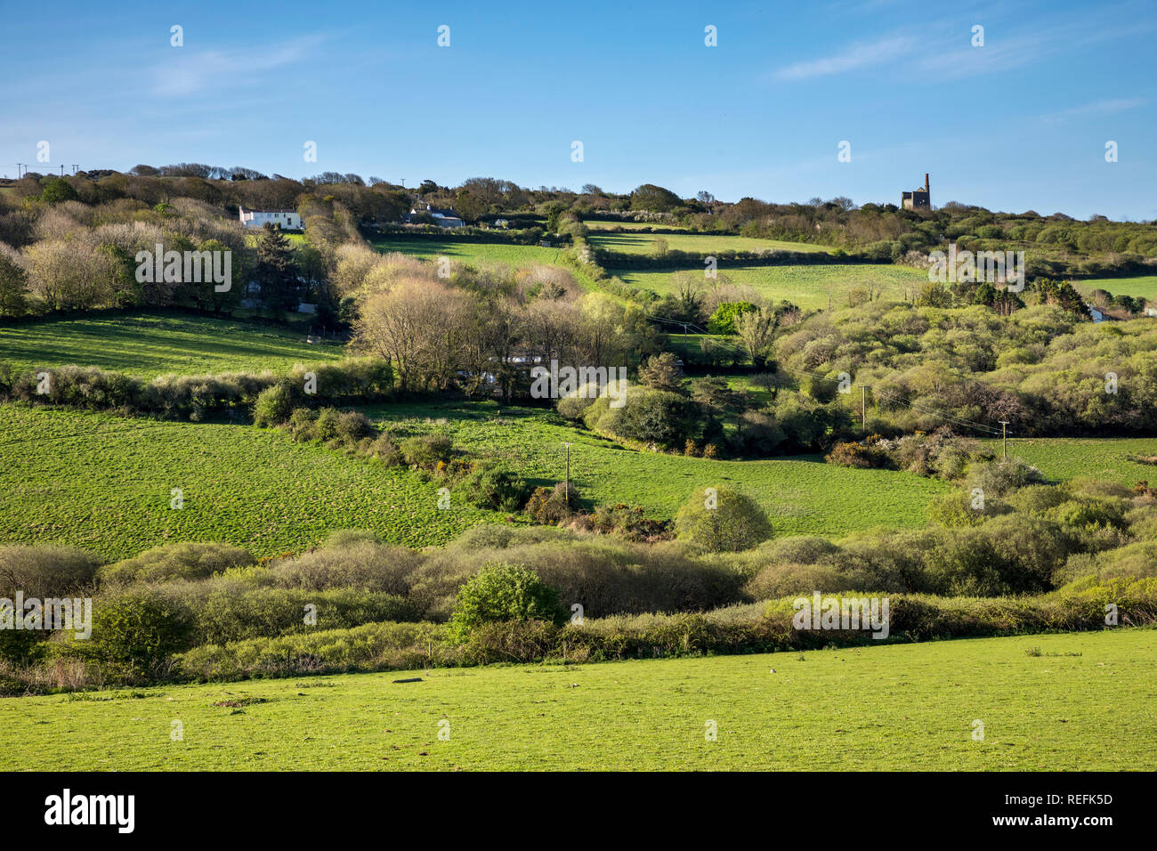 Godolphin Hill; motore House e siepi; West Cornwall, Regno Unito Foto Stock