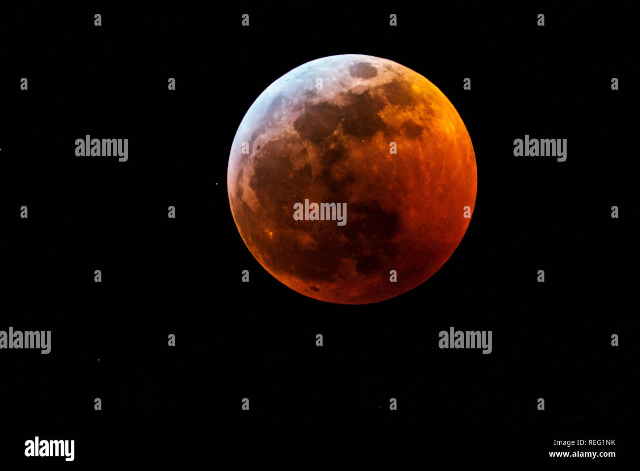 Salida, STATI UNITI D'AMERICA. Xx gen, 2019. Lunar Eclipse, rosso sangue lupo completa supermoon su montagne rocciose; Salida; Colorado; USA Credito: H. Mark Weidman Fotografia/Alamy Live News Foto Stock