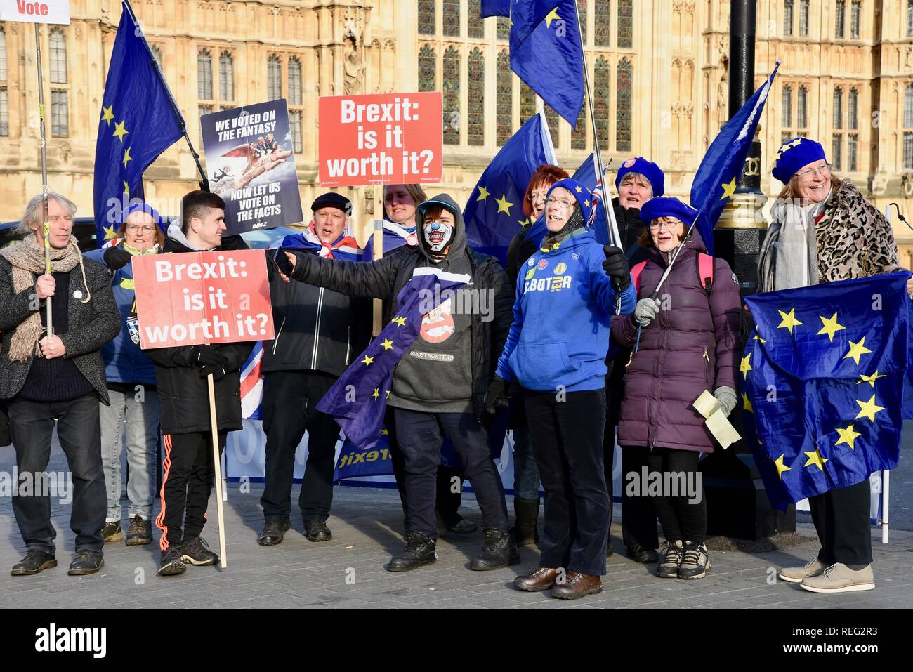 Anti Brexit protesta.Remainers continuarono le loro proteste il giorno che Theresa Maggio ha rivelato il suo piano Brexit B.Case del Parlamento,Westminster,London.UK Foto Stock