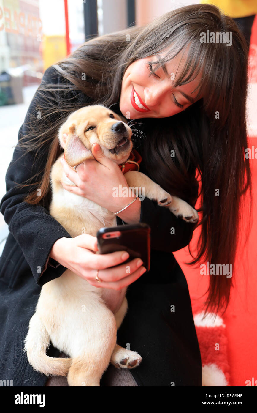 Londra, Regno Unito. Xxi Jan 2019. Su Blu Lunedì, Staples soluzioni create un pop-up 'felice spazio' su Baker Street, Londra, per sollevare gli spiriti degli impiegati. Carino 8 settimane vecchio Labrador Retriever cuccioli erano a portata di mano per aggiungere un po' di allegria su più deprimenti giorno dell'anno. La ricerca ha trovato che ha trovato che 81% di ufficio nel Regno Unito i lavoratori dicono il loro spazio in ufficio ha un impatto diretto sulla loro salute mentale. Katie Leonard, 21 da Manchester mostrato di giocare con i cuccioli di questa mattina. Credito: Oliver Dixon/Alamy Live News Foto Stock