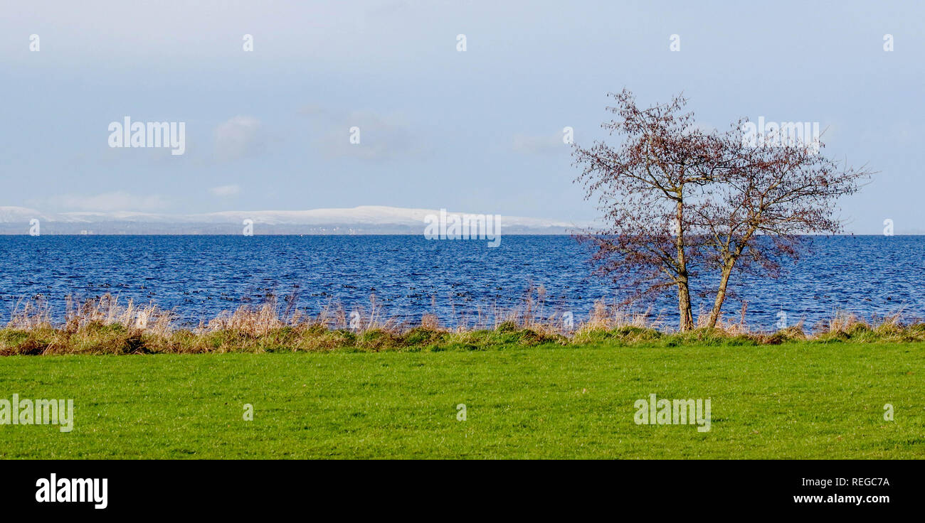 Isola di Oxford, Lough Neagh, Irlanda del Nord. Il 22 gennaio 2019. Regno Unito meteo; dopo un gelido start, un chiaro e soleggiato ma freddo, giorno su Lough Neagh. La neve sul lato lontano del Lough Neagh. Credito: David Hunter/Alamy Live News. Foto Stock