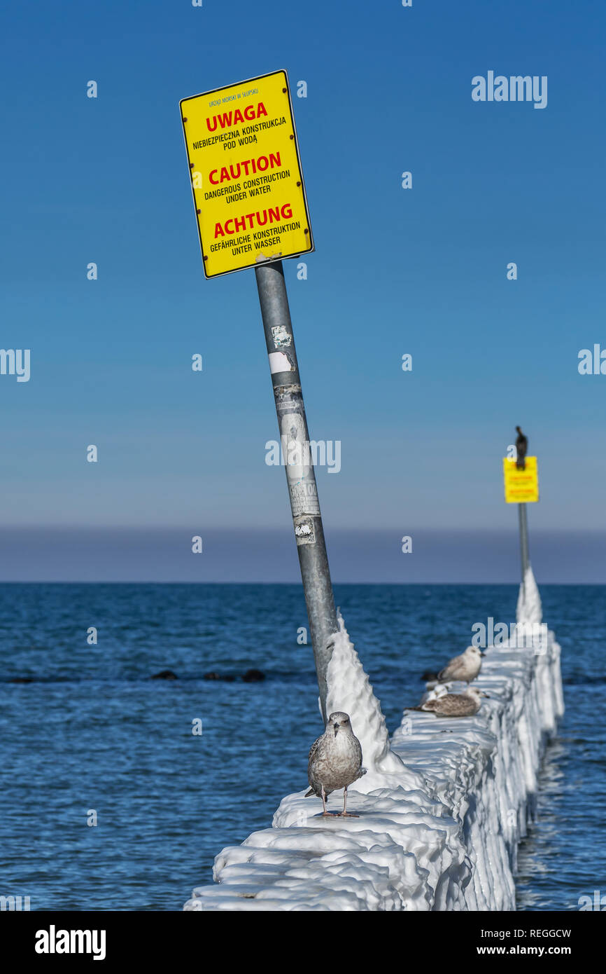 Coperte di ghiaccio pennelli sulla spiaggia del Mar Baltico nei pressi di Kolobrzeg. In Pennelli non ci sono cartelli di avvertimento nelle lingue polacco, inglese e tedesco Foto Stock