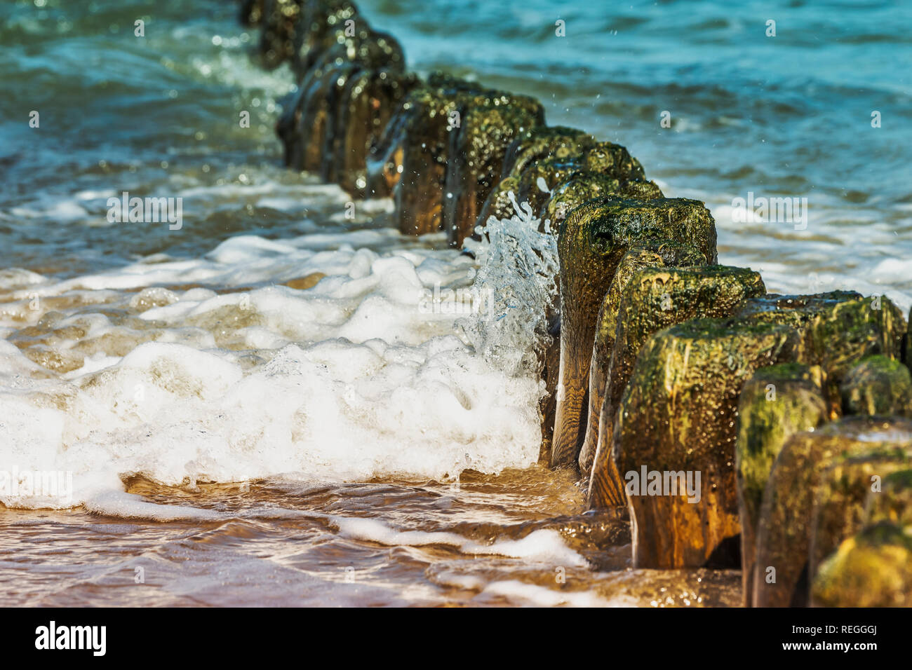 Pennelli sulla spiaggia del Mar Baltico nei pressi di Kolobrzeg, West Pomerania, Polonia, Europa Foto Stock
