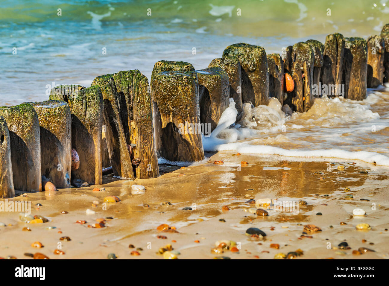 Pennelli sulla spiaggia del Mar Baltico nei pressi di Kolobrzeg, West Pomerania, Polonia, Europa Foto Stock