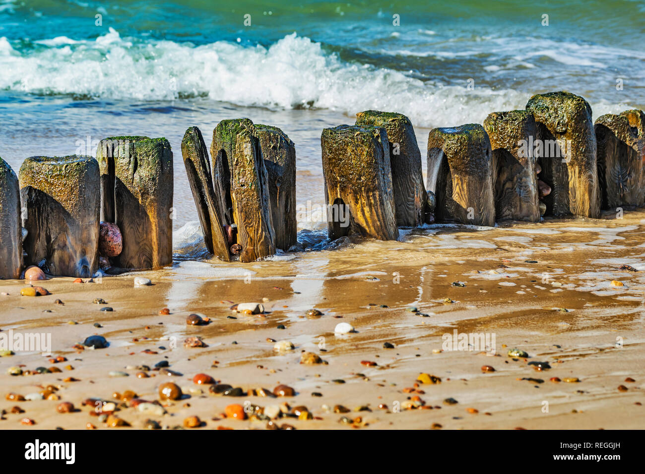 Pennelli sulla spiaggia del Mar Baltico nei pressi di Kolobrzeg, West Pomerania, Polonia, Europa Foto Stock