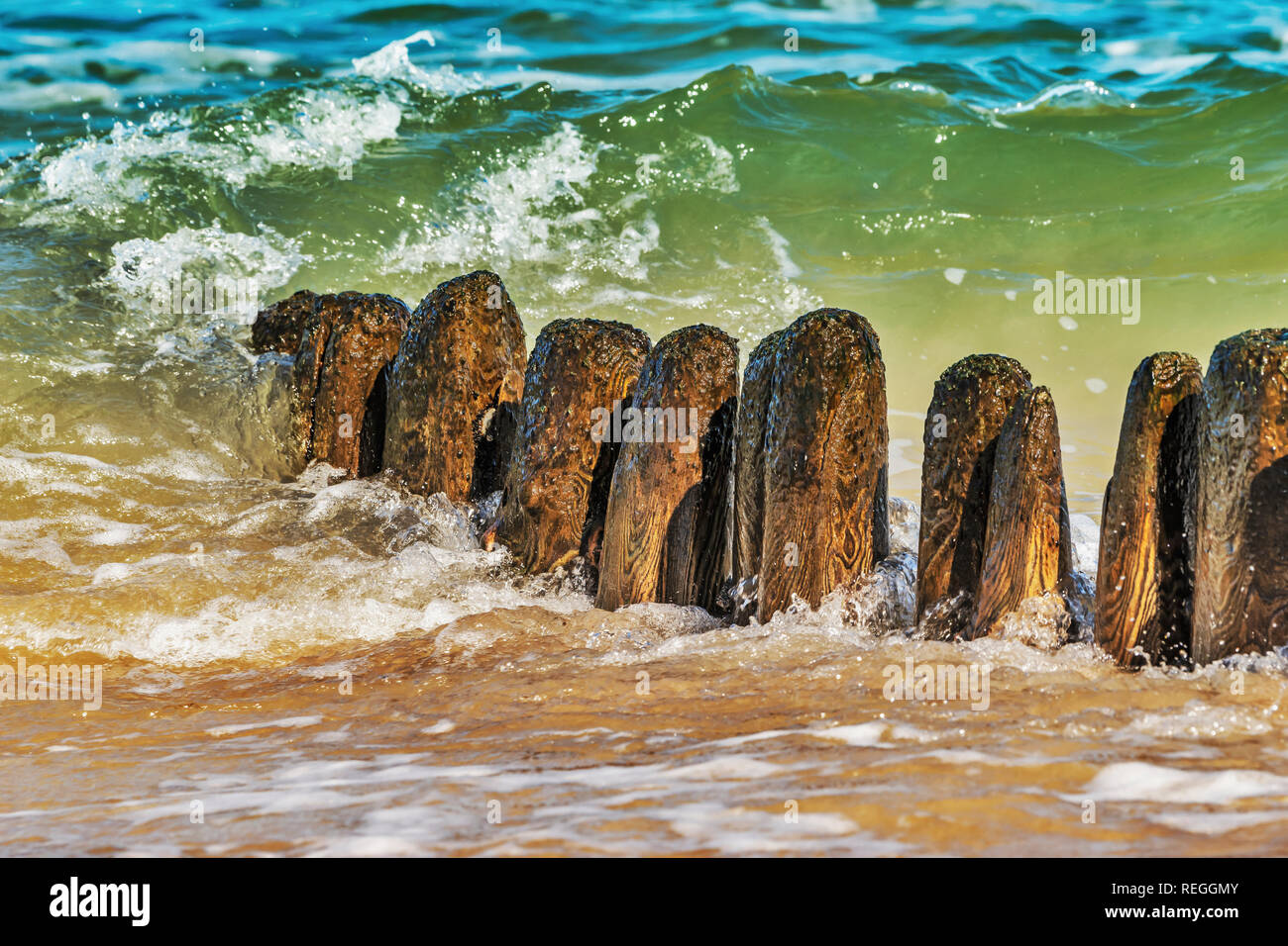 Pennelli sulla spiaggia del Mar Baltico nei pressi di Kolobrzeg, West Pomerania, Polonia, Europa Foto Stock