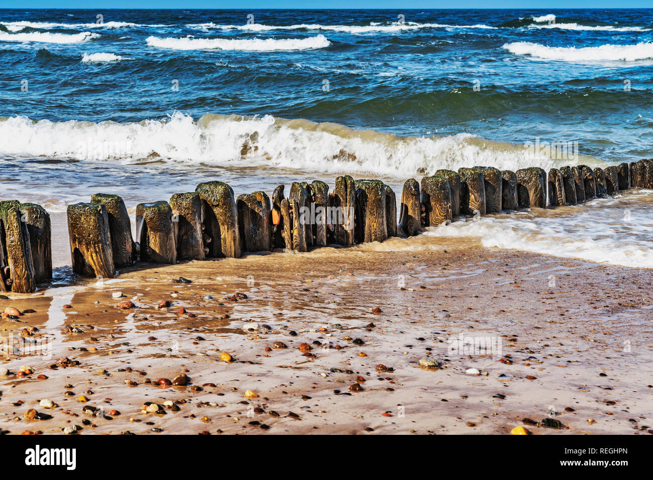 Pennelli sulla spiaggia del Mar Baltico nei pressi di Kolobrzeg, West Pomerania, Polonia, Europa Foto Stock