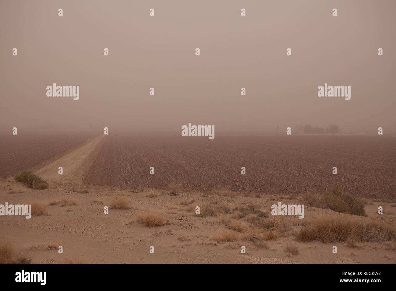 Una tempesta di polvere oscura la Franklin montagne in alta Valle di El Paso Foto Stock