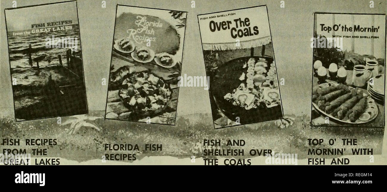 . Pesca commerciale di revisione. La pesca e il commercio di pesce. 76 eccitante B.C.F. Ricetta disponibili da l. Ricette da THF"^ â SREAT LAGHI Il Greot Lakesâwaler- vie del cuore di Amer- icaâhave ha generato alcune di Ihe più gustoso pesce che sempre nutrita e lieta l'umanità. Dalla loro profondità a freddo sono venuti in bianco - pesce, re di fresco-acqua pesce; trota di lago, regal am- bassador di gusto ricco; yel- bassa pesce persico, delicati filetti insuperabile di sapore e odore di colore argenteo scivola in acqua e scaglie di salato su un piatto. In pesci Rec- ipe da Grandi Laghi, l'Ufficio di presidenza della pesca commerciale ha creat Foto Stock