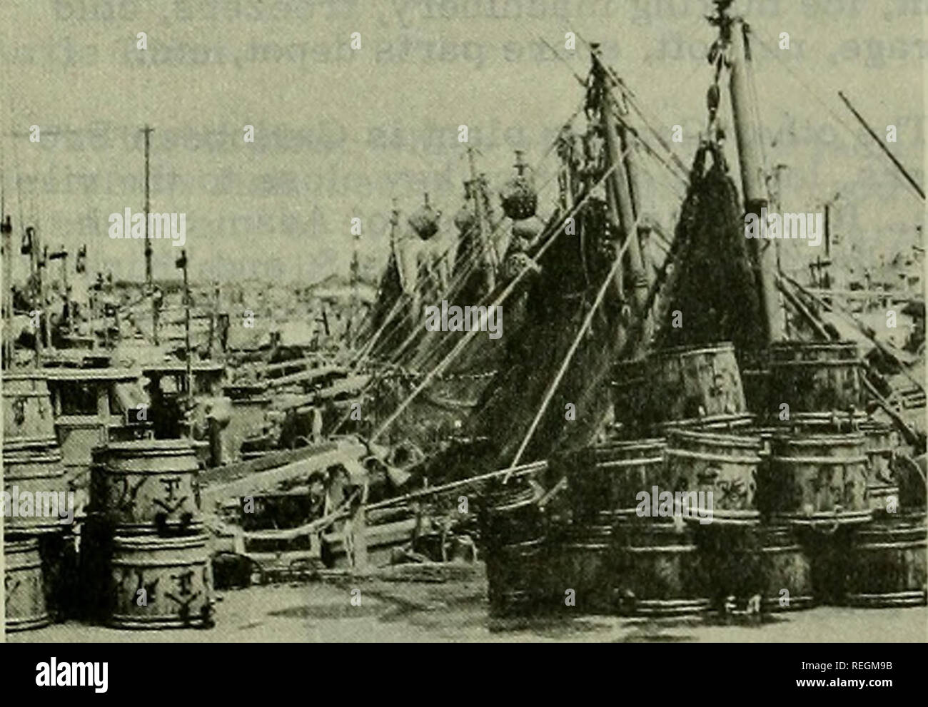 . Pesca commerciale di revisione. La pesca e il commercio di pesce. 60 Asia Giappone CONSERVE DI SALMONE E LE ESPORTAZIONI DI GRANCHIO colpito dal cancelletto svalutazione svalutazione della sterlina britannica è ex- pected ad influenzare negativamente il giapponese conserve di salmone e granchio le esportazioni verso le zone di sterling. Particolarmente colpite saranno le esportazioni di conserve di rosa salmone e conserve di Tanner crab in Gran Bretagna, Australia e Nuova Zelanda. Circa il 58 percento del 1967 conserve di rosa salmone produzione già è stato esportato (oltre il 40 per cento è stato acquistato dalla Gran Bretagna). Ma la vendita del restante 42 percento dovrebbe diminuire bruscamente come un resul Foto Stock