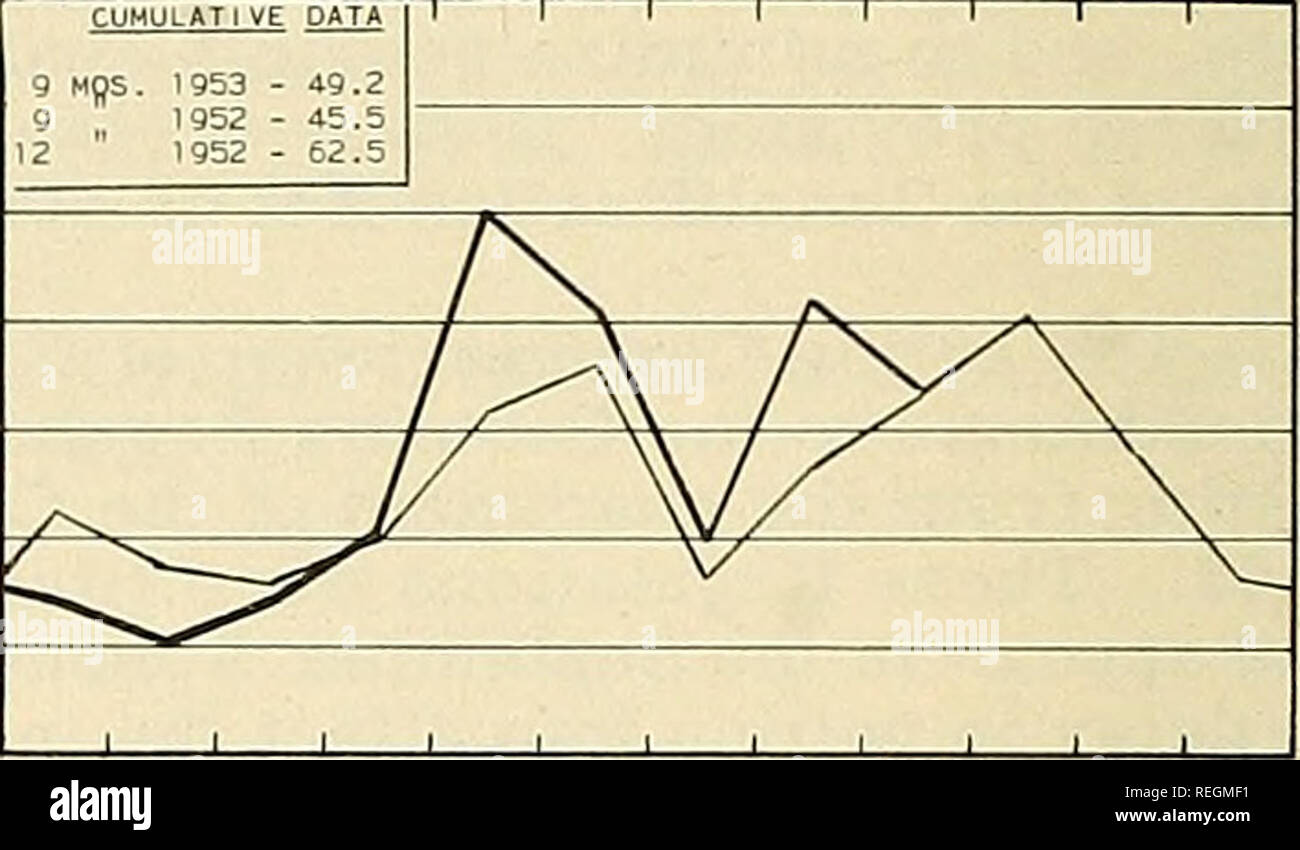 . Pesca commerciale di revisione. La pesca e il commercio di pesce. Gen Feb Mar Apr MAGGIO JUWÂ£ Luglio ago sett ott nov dic LOUISIANA-^/ Dati cumulativi ^ MflS. 1953 49 2 9 1952 4!i h 2 1952 fl b. ' Gen Feb Mar Apr Maggio Giugno Luglio ago sett ott nov dic j/solo parziale -- include gli sbarchi nei porti principali. 28 24 20 16 12 8 4 0 TEXAS DATI CUMULATIVI 9 MflS. 1953 - 110,5 9 1952 - 94,0 12 1952 - 127.1 / /A / / ' / / âX // gen feb mar apr Maggio Giugno Luglio ago sett ott nov dic OREGON DATI CUMULATIVI 1 1 1 1 1 1 1 7 MQ. 1953 - 20,9 7 1952 - 25,0 12 1952 - 47,0 yâ-^"^ ^ ^^Z^==^ 1 1 1 J 1 1 ] 1 â 1 &gt; JAN Foto Stock