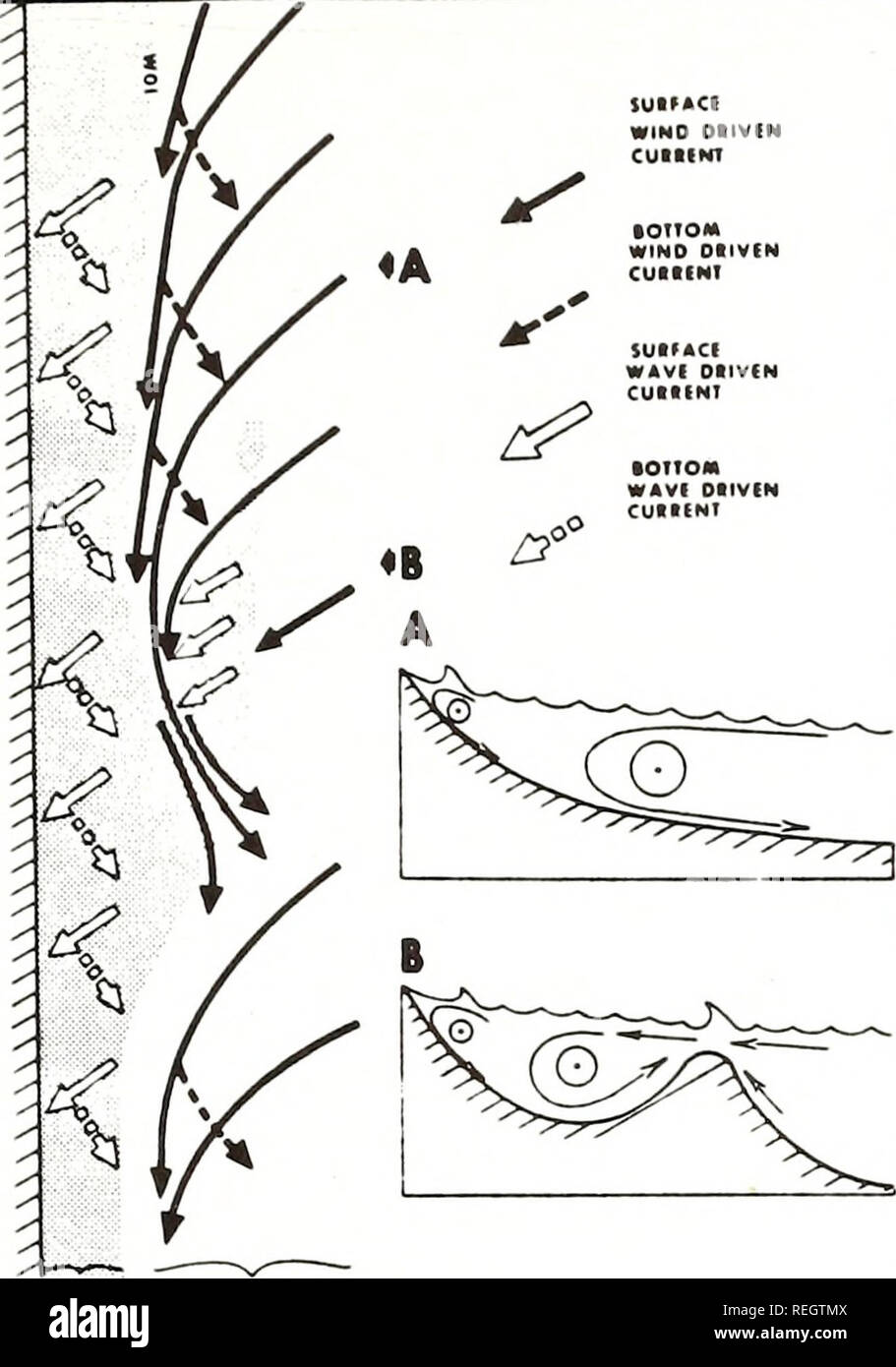 . Raccolte le ristampe / Atlantic oceanografia e laboratori meteorologici [e] Pacifico laboratori oceanografici. Oceanografia periodici.. cfhelf sedimentazione 119 sui l'ACI WINO OIIVIN CUIIINI • OTTO** VENTO CUIIEHI OftlVEN SUtFACE WAVI DI1VCN CUItENT. ZONt DI VENTO-OHVEN SMOAiiNG DOWNWELUNO onde a getto costiere ng 1. Modello ipotetico del confine costiero della tempesta del campo di flusso durante un periodo di vento onshore. Convergenza delle centrali eoliche con corrente litorale risultati in costiera downwelling jet. La stratificazione di salinità. Durante tali tempeste, sollecitazioni del vento sulla superficie del mare di Langmuir unità Foto Stock