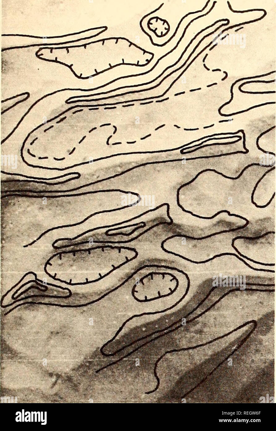 . Raccolte le ristampe, essa Istituto di Oceanografia. Oceanografia periodici.. DEEP-SEA fotografia 71. La figura 5-2b. I contorni disegnati su uno dei stereopair in fig. 5-2a. Intervallo di contorno, 15 mm. Inoltre, spostando il punto di riferimento lungo una linea orizzontale e regolare verticalmente - osservando le letture di composizione e di coordinate x-y - una qualsiasi sezione trasversale dell'immagine può essere tracciata. Fig. 5-2 Mostra mappa di contorno e profili di sezione costruito dal rispettivo stereo- scopic coppie utilizzando il metodo di cui sopra. Fig. 5-3a mostra una coppia stereoscopica a partire dal quale i contorni di fig. 53b erano constructe Foto Stock