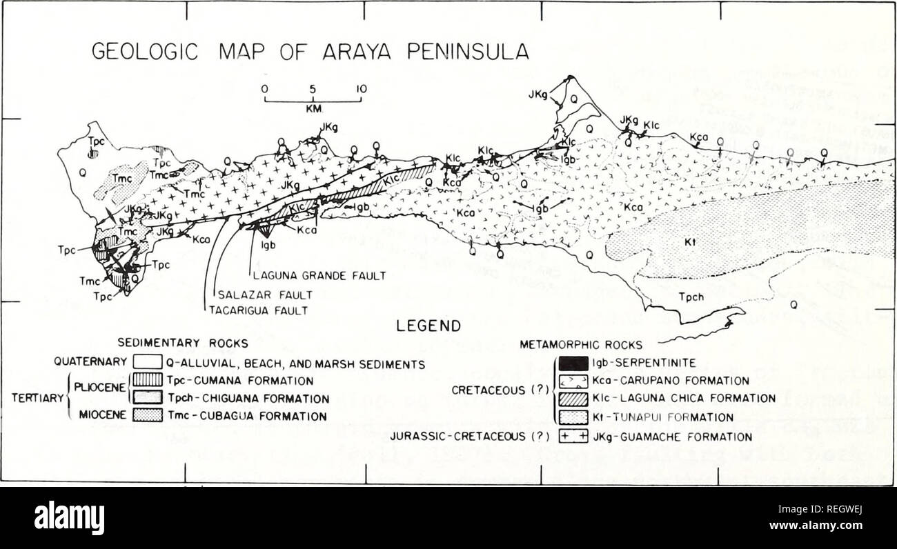 . Raccolte le ristampe / Atlantic oceanografia e laboratori meteorologici [e] Pacifico laboratori oceanografici. Oceanografia periodici.. calcari e scisti (Chimana formazione) (Metz, 1968b). Inizio Cretaceo superiore calcari e cherts (Querecual formazione) sono state quasi completamente spogliato durante un intra-Senonian piegatura e di erosione. Mae- strichtian Paleocene e arenarie massicce (San Juan formazione) e formazioni argillose e marne Vidoho (formazione) sono state sottoposte ad erosione insieme con il precedente Cretaceo rocce fin dal tardo Eocene o Early Oligocene (tempo di Metz, 1968b). Il cavo orientale Foto Stock