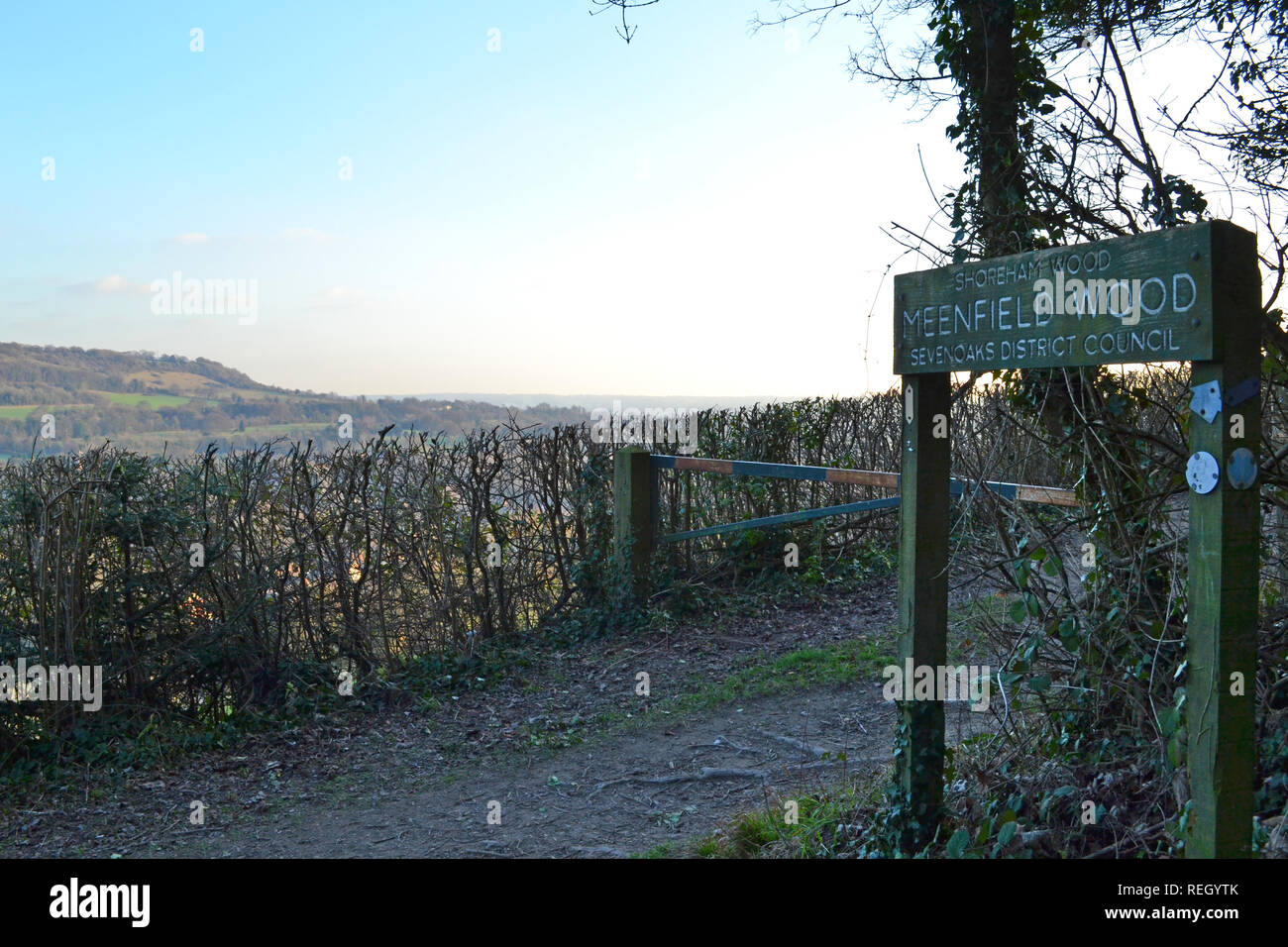 Meenfield legno, Shoreham, Kent, nel gennaio 2019 su un croccante di inverno di giorno. Il bosco di faggio principalmente con alcune querce, pini e yew. Darent Valle è al di sotto di Foto Stock