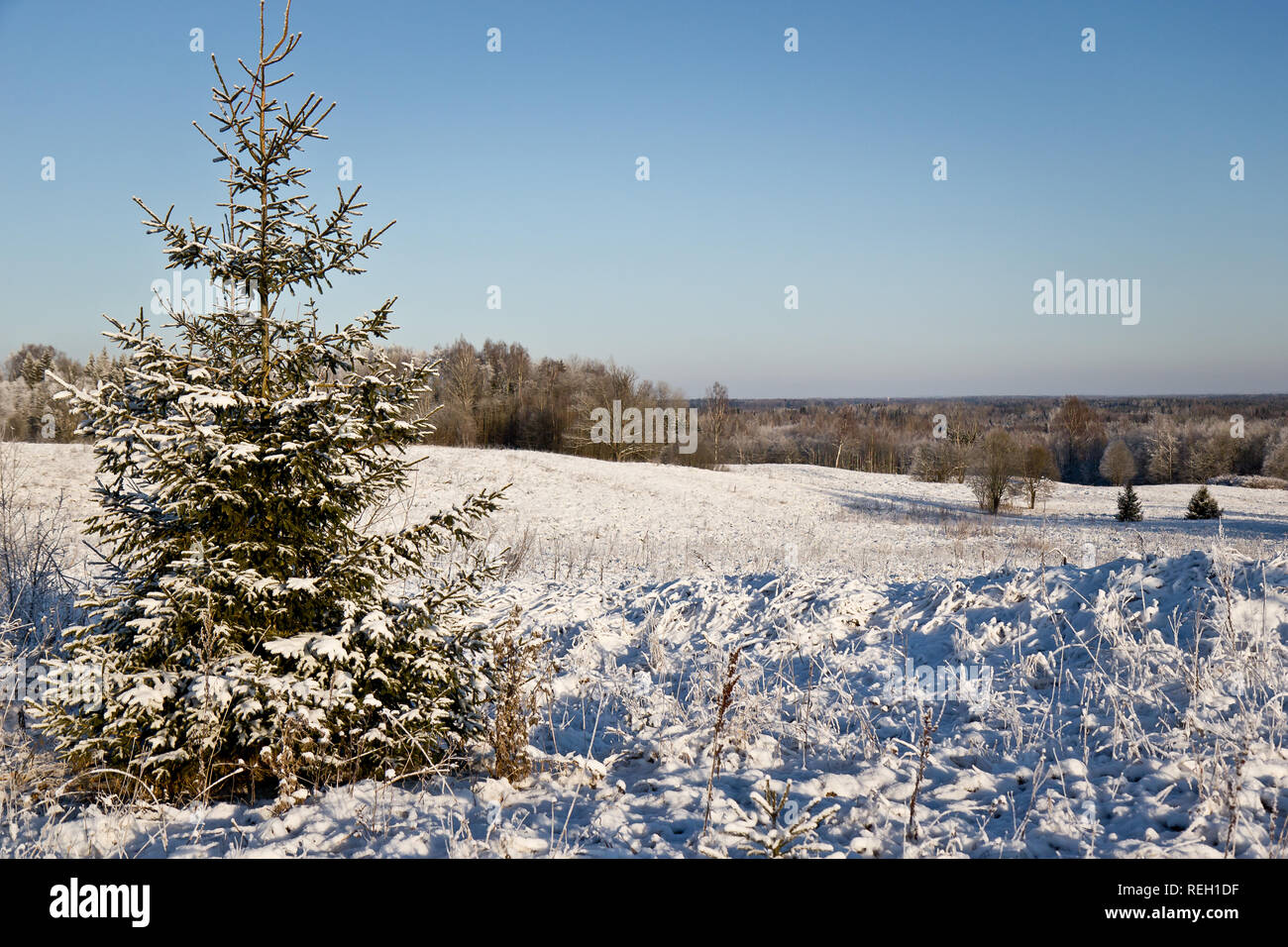 Il freddo giorno di sole in Lettonia Foto Stock