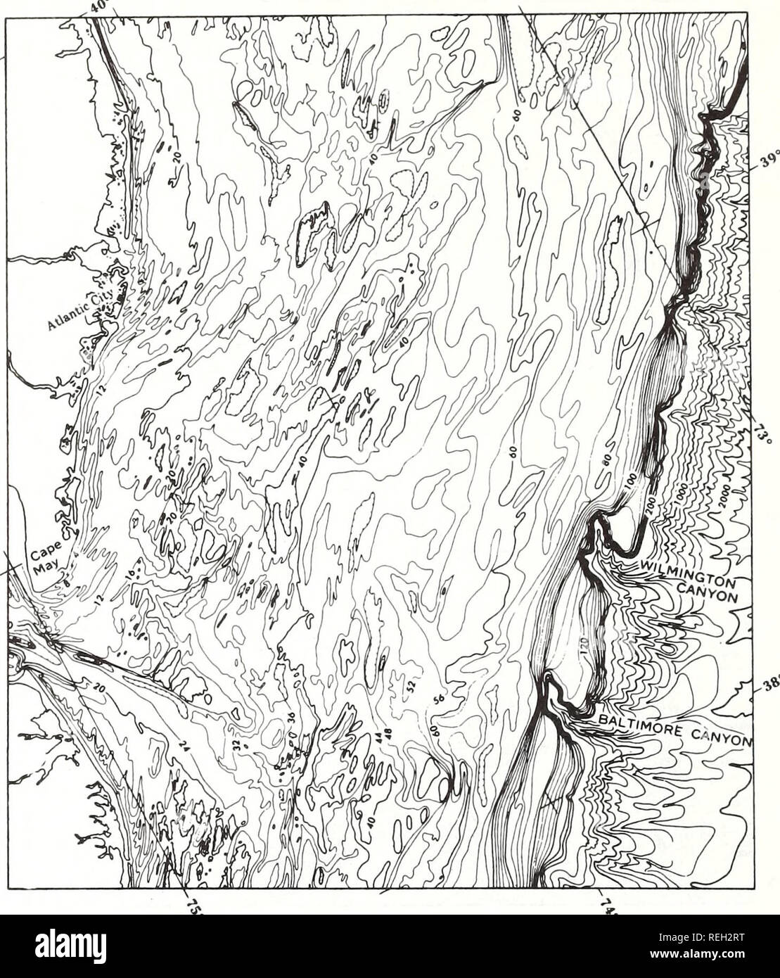 . Raccolte le ristampe / Atlantic oceanografia e laboratori meteorologici [e] Pacifico laboratori oceanografici. Oceanografia periodici.. 22. Banchi lineari sull'Atlantico continentale interna ripiano 451. La figura 172. Topografia della porzione centrale del medio Atlantico ansa mostra pervasiva bathymet nordest- ric tessuto. Intervallo di contorno è di 4 m. Da Uchupi (1968). ripiano è un assemblaggio di attualmente o recentemente attivo bedforms marine. Moody (1964) ha studiato creste sulla shoreface del Delaware costa e stabilito che essi posizione spostata durante il Mercoledì delle Ceneri di tempesta del 1962. Foto Stock