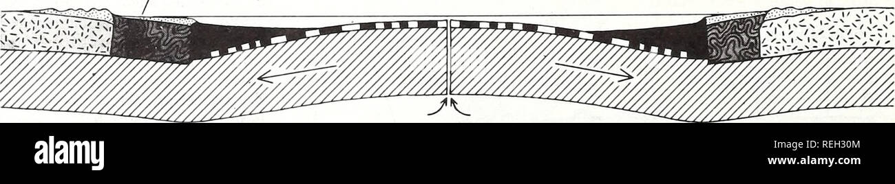 . Raccolte le ristampe / Atlantic oceanografia e laboratori meteorologici [e] Pacifico laboratori oceanografici. Oceanografia periodici.. ^V APPALACHIANS costiera pianura del medio Atlantico Rift. Meccanismo di deformazione che ha prodotto l'Appalachian fotdbelt è raffigurato sulla ipotesi che l'Oceano Atlantico ha aperto, chiuso e riaperto. Nel tardo Precambrian (a). Nord America e Africa sono separati da una spalmatura rift, che in- serts un nuovo bacino dell'oceano. Mediante il processo di mare-diffusione del pavimento (6) Il ancestrale Oceano Atlantico si apre. Nuova crosta oceanica è creato come le piastre su ogni Foto Stock
