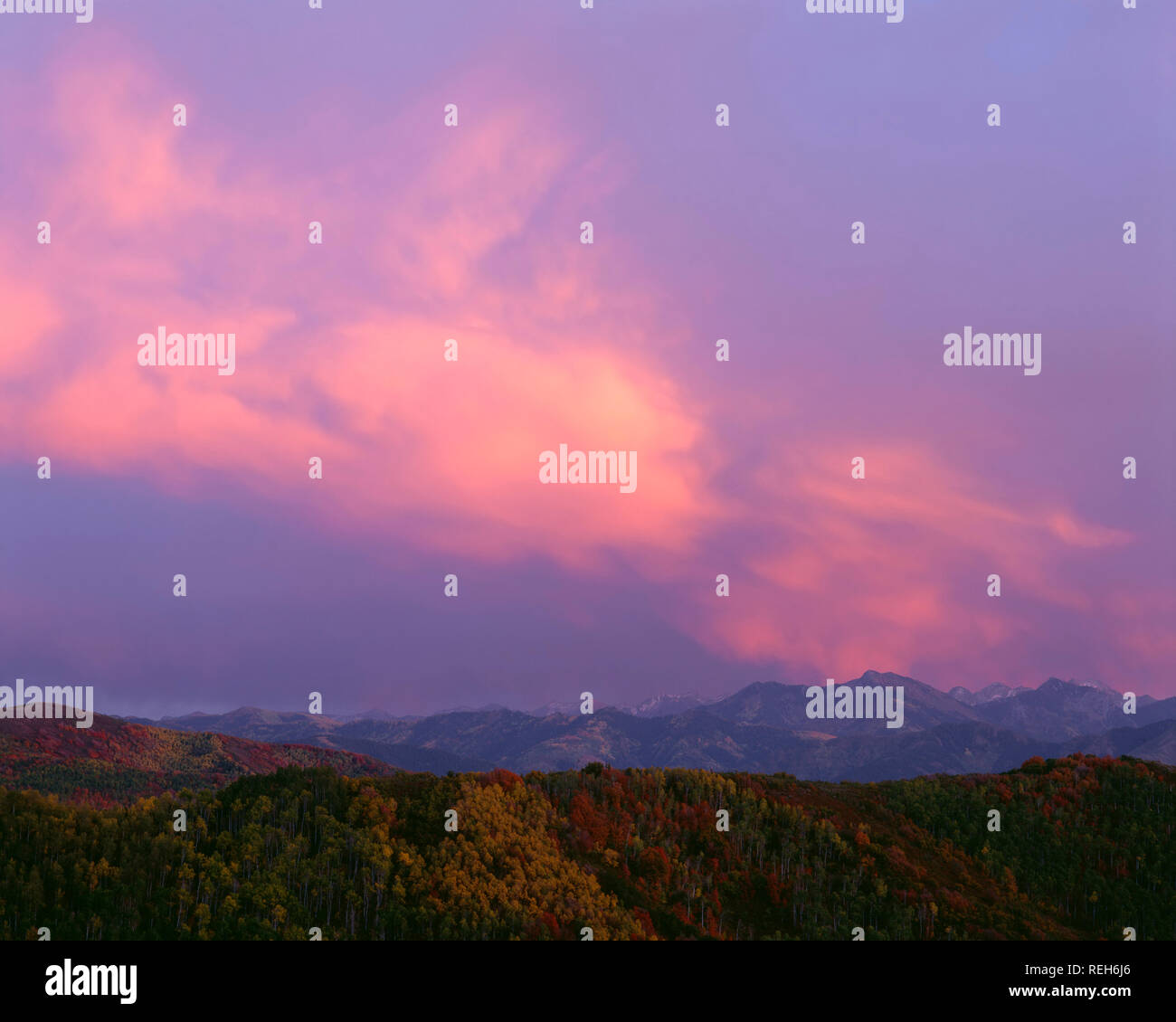 Stati Uniti d'America, Utah, Uinta-Wasatch-Cache National Forest, colorato tramonto Cielo sopra autunno pendii di Wasatch Range. Foto Stock