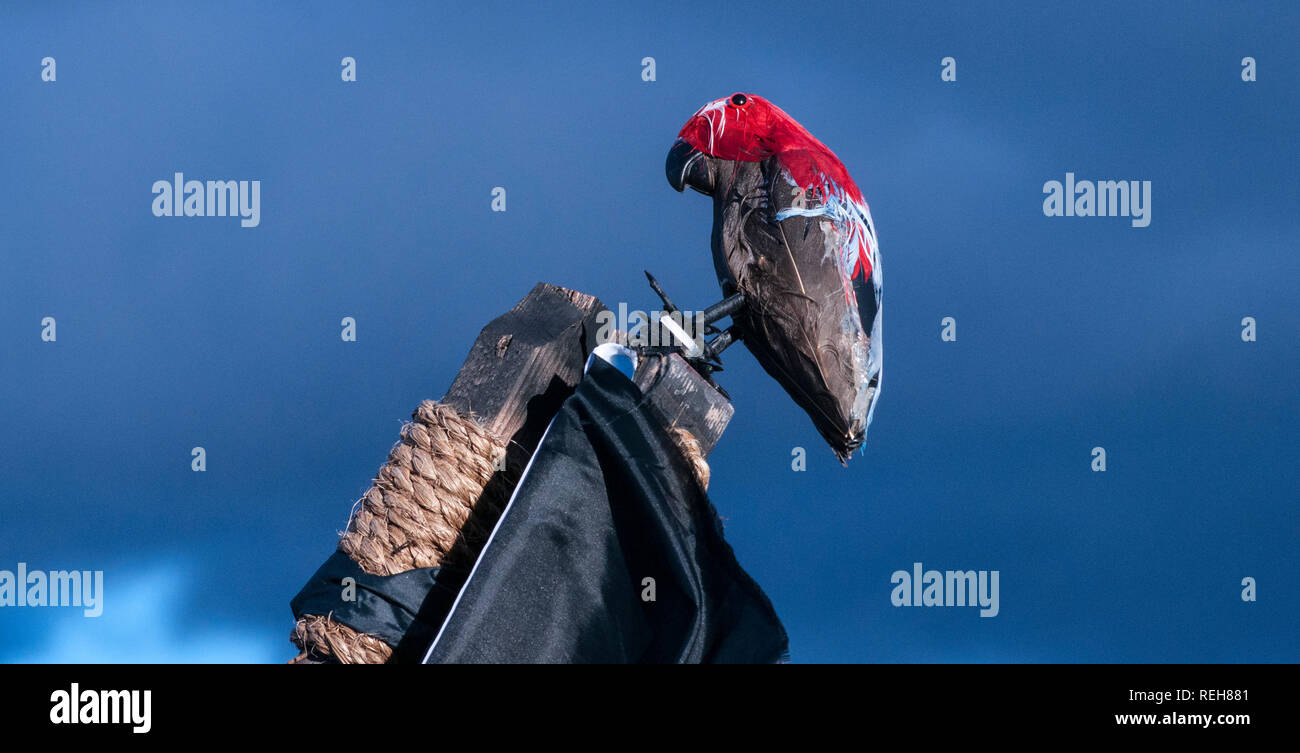 Bird in porto Foto Stock