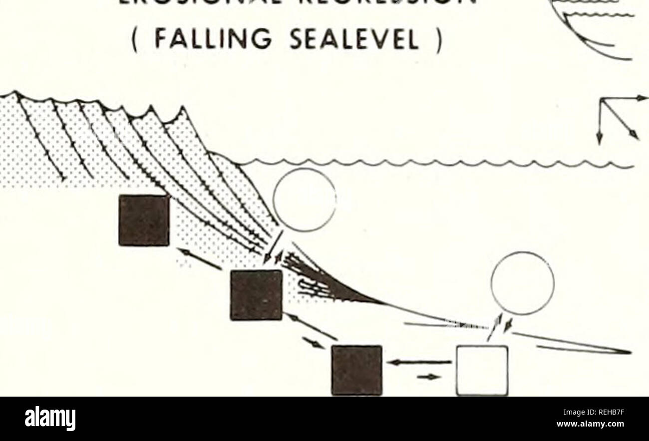 . Raccolte le ristampe / Atlantic oceanografia e laboratori meteorologici [e] Pacifico laboratori oceanografici. Oceanografia periodici.. La regressione ad erosione ( RIENTRANTI SEALEVEL. SOUR sistema di trasporto depositi moderno la figura 17. I modelli di schema per la riva faccia bilancio di sabbia. (A) Retrogradante settore costiero con aumento del livello del mare e di equilibrio o di deficit nella sabbia coastwise flusso. (B) vicino- stillstand settore costiero con effetto di innalzamento del livello del mare compensato dal surplus di sabbia associati con sabbia coastwise flusso. (C) Prograding settore costiero con effetto di innalzamento del livello del mare e invertiti da sa Foto Stock