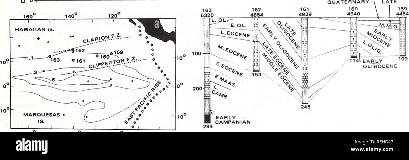 . Raccolte le ristampe / Atlantic oceanografia e laboratori meteorologici [e] Pacifico laboratori oceanografici. Oceanografia periodici.. 160 140 120' O.I: SE D. SPESSORE IN POCHI SECONDI a sud. Il Cocos e Carnegie creste e alcuni blocchi di alta. la parte orientale del bacino sono strutturalmente simili e hanno un coperchio di sedimento che è distinto da quello della più profonda e più giovani bacini. Basato su geo- prove fisiche, Van Andel e altri hanno postu- affini che questi blocchi di alta una volta formata un'ancestrale Carnegie Ridge, che è stata divisa longitudinalmente dalla formazione di Galapagos Rift Zo Foto Stock
