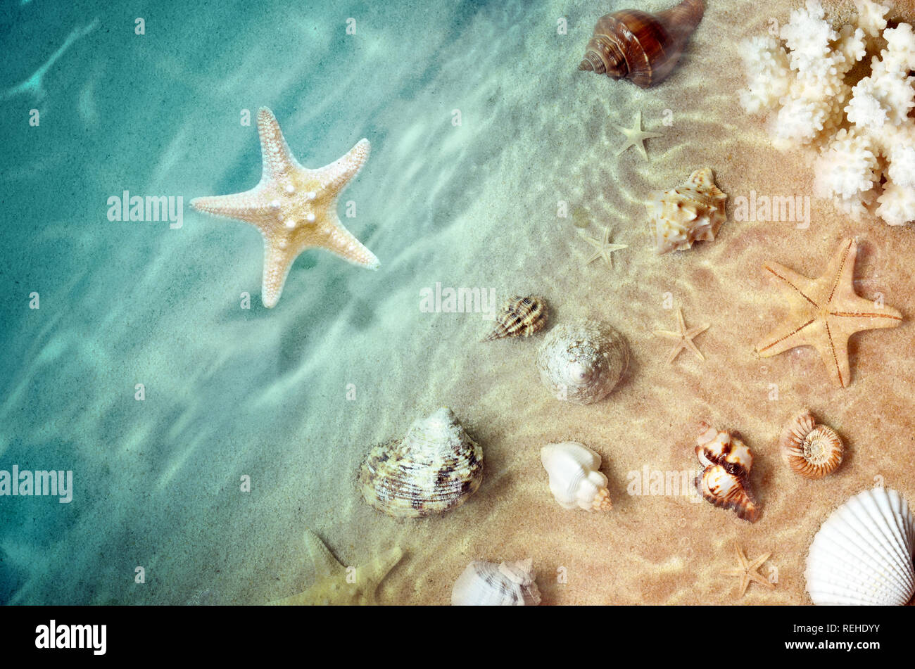 Starfish sull'estate spiaggia con sabbia e wave. Estate sfondo. L'estate. Foto Stock