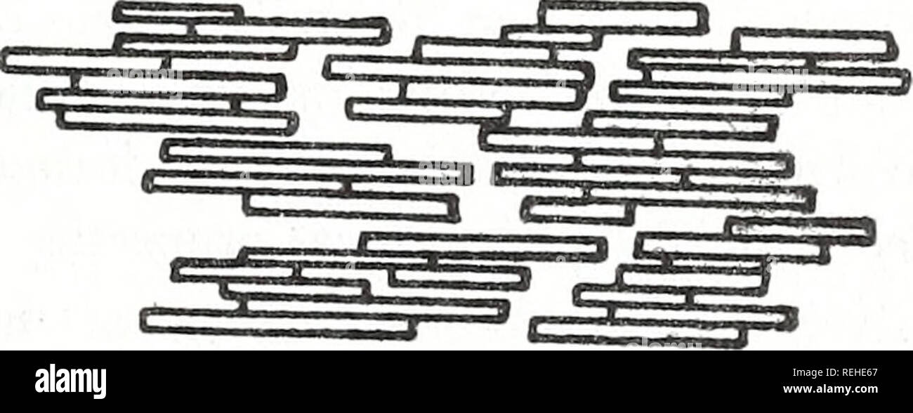 . Raccolte le ristampe / Atlantic oceanografia e laboratori meteorologici [e] Pacifico laboratori oceanografici. Oceanografia periodici.. C D FicuRE 23.-una proposta di schema di disposizione di particelle di argilla in sedimenti (dalla Luna 1972). (A) aperta, disposizione casuale dei domini di due a tre particelle per ogni pacchetto. (B) parallelo o subparallel disposizione dei domini di due a tre particelle per ogni pacchetto. (C) di aumentare il parallelismo e più particelle incorporate in ciascun dominio rispetto a un, ossia mudstone. (D) parallela completa- ISM e più particelle per pacchetto a in B, cioè, scisto.. Si prega di n. Foto Stock