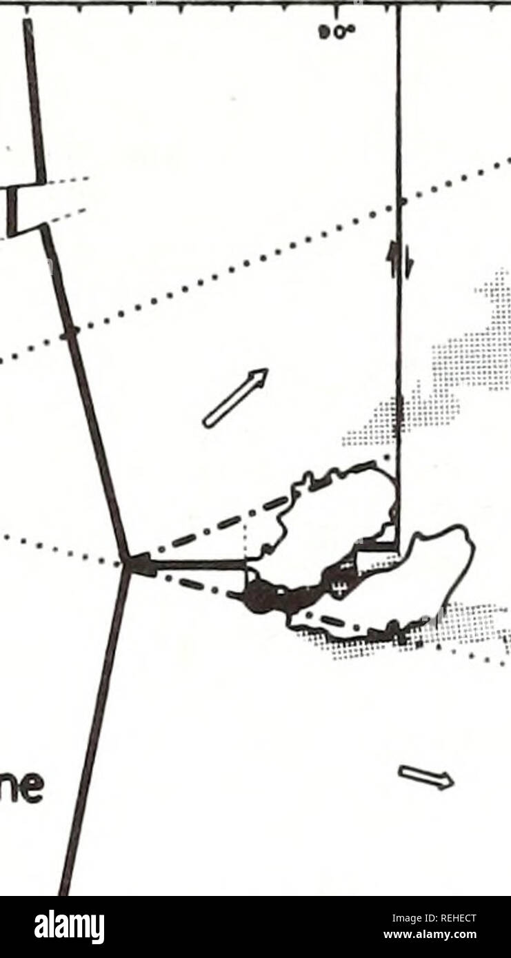 . Raccolte le ristampe / Atlantic oceanografia e laboratori meteorologici [e] Pacifico laboratori oceanografici. Oceanografia periodici.. Fig. 4 Sviluppo delle Galapagos gore 10 m.y. bp. Tratto e linea rappresenta il Cocos e Nazca isochron flessioni in quel momento; la linea tratteggiata rappresenta la recente posizione degli elementi di flessione. Posizioni recenti di Cocos e Carnegie rilievi ombreggiati. Frecce come in Fig. 2. Modelli rispetto Van Andel el a/.8 hanno offerto una spiegazione alternativa per una porzione del Galapagos gore. Essi suggeriscono che il Cocos e Carnegie creste una volta venivano giustapposti e sono state poi sp Foto Stock
