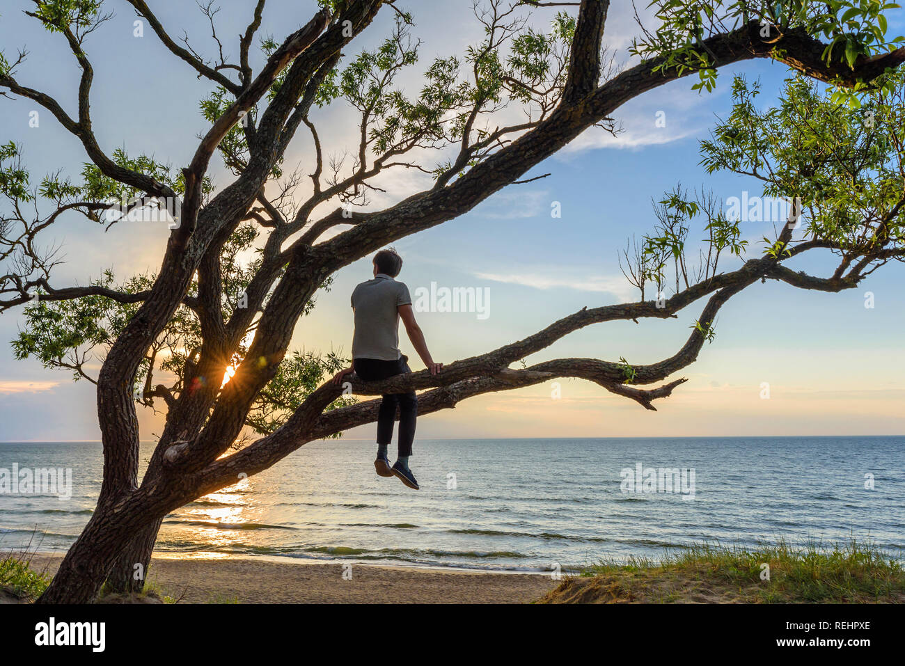 Uomo seduto sull'albero a guardare il tramonto sul mare, godendo di un momento tranquillo. concetto di viaggio Foto Stock