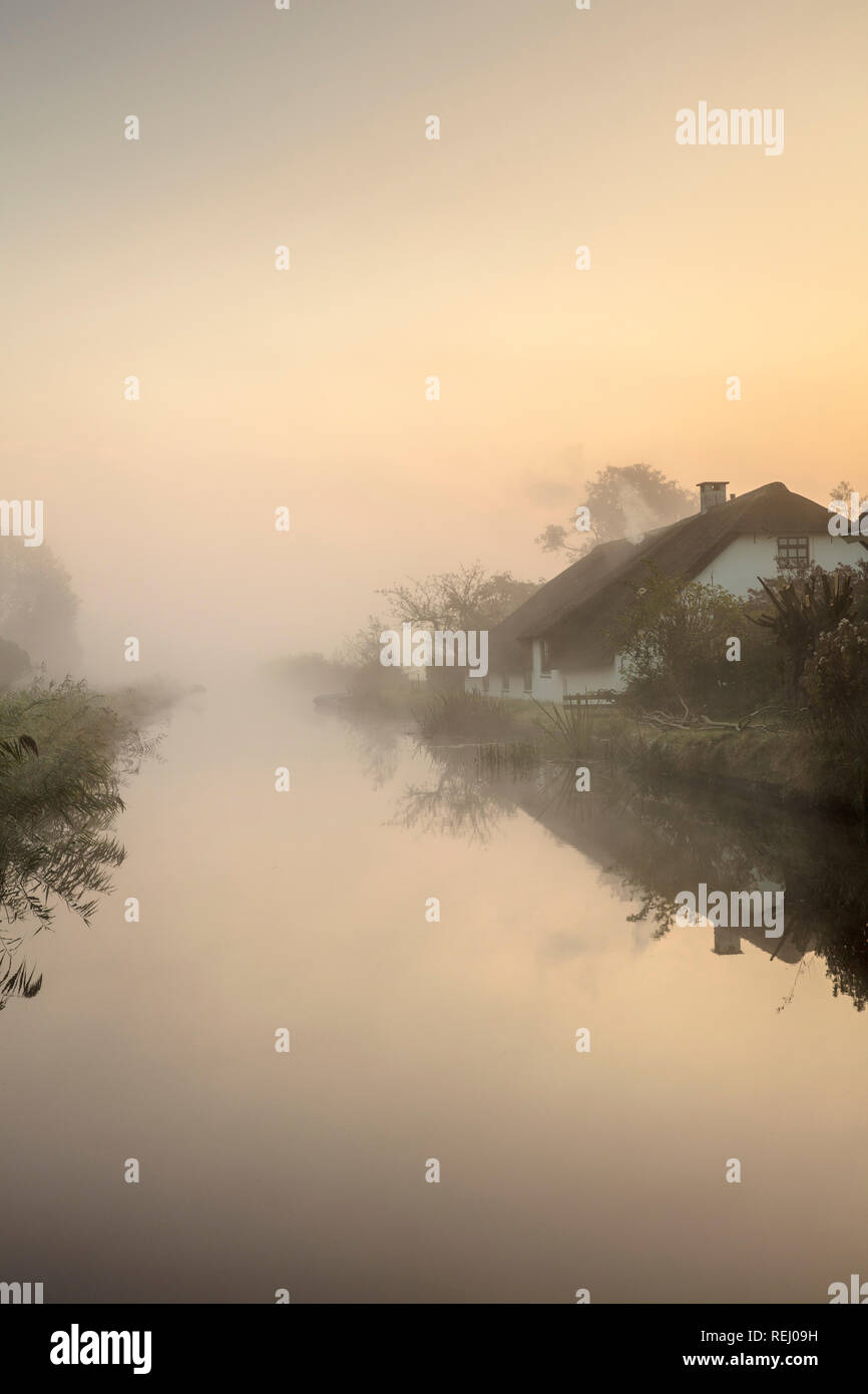 I Paesi Bassi, la Meije, Fattoria nella nebbia di mattina. Foto Stock