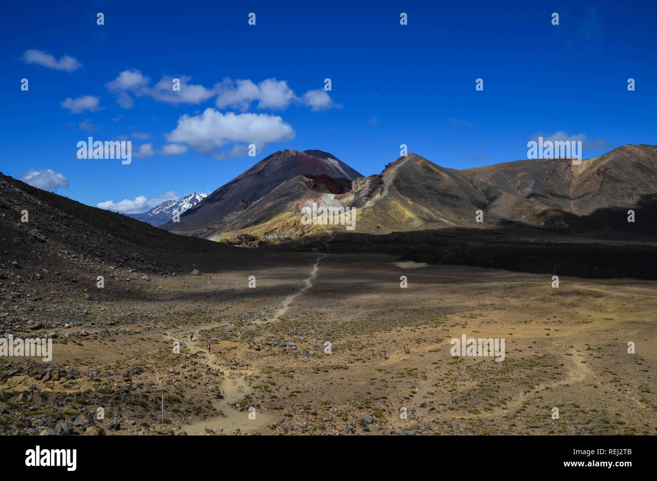 Tongariro National Park Nuova Zelanda, Grande Escursione Foto Stock