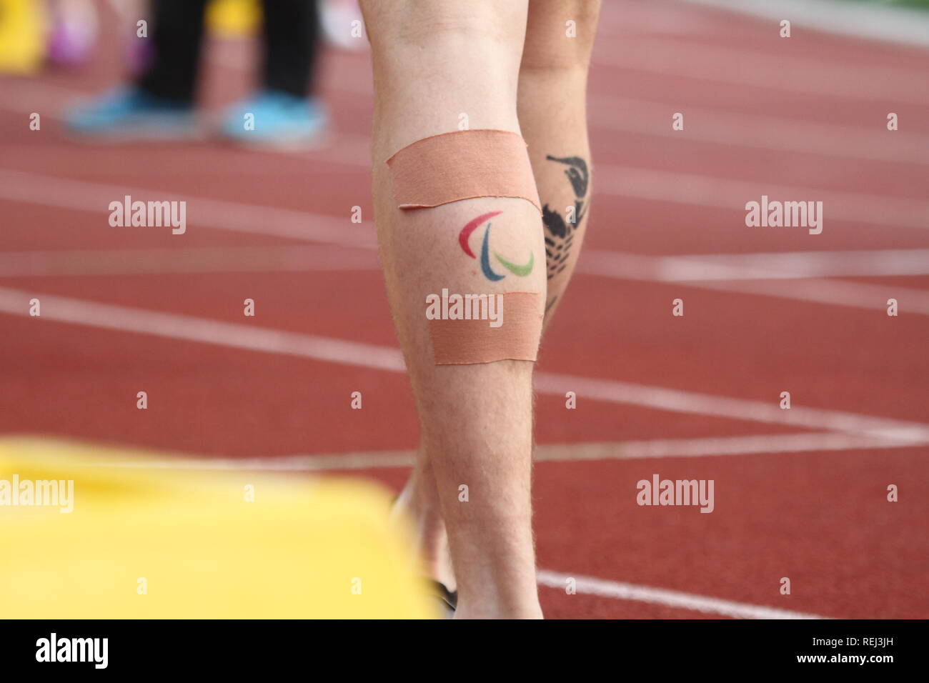 Un atleta con un IPC (Comitato Paralimpico Internazionale) tattoo si prepara per una gara durante i para atletica Campionati Europei. Credito: Ben Booth Foto Stock