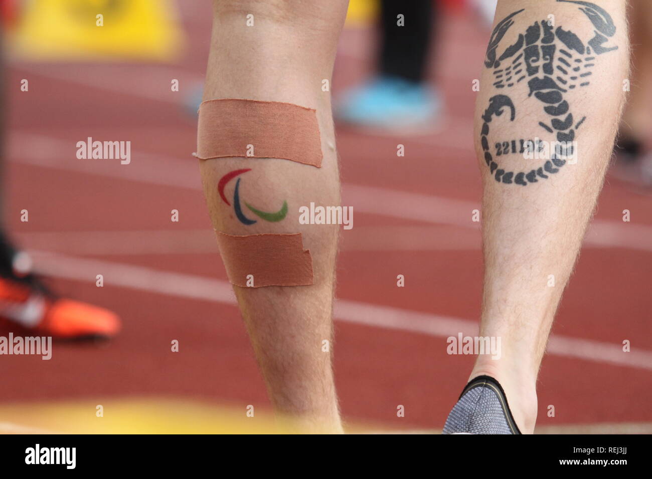 Un atleta con un IPC (Comitato Paralimpico Internazionale) tattoo si prepara per una gara durante i para atletica Campionati Europei. Credito: Ben Booth Foto Stock