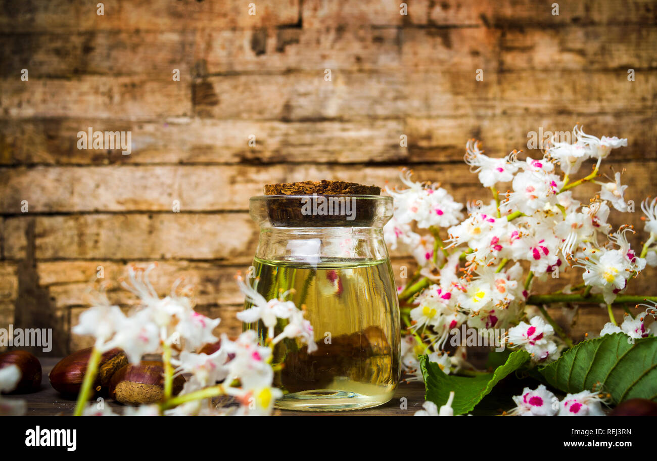 Castagno olio essenziale in una bottiglia e sbocciare fiori Foto Stock