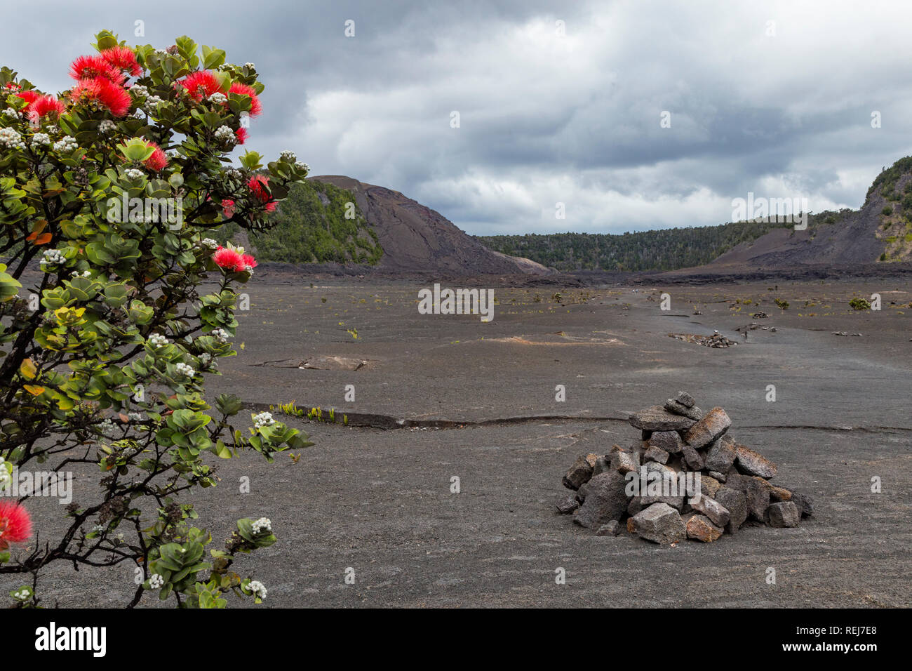 Il Kilauea Iki cratere nel Parco Nazionale dei Vulcani sulla Big Island delle Hawaii, STATI UNITI D'AMERICA Foto Stock