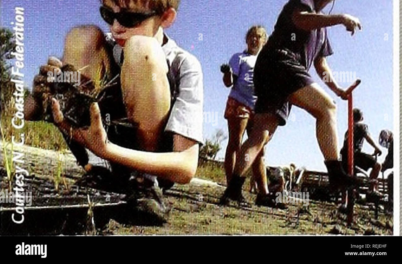 . Coast Watch. Risorse Marine; oceanografia; gestione delle zone costiere; ecologia costiera. 7 Sop.-23 Sop. H RITA 16 Sop.-26 Sop. H STAN 1 Ott i CM &gt;T UNNAMED 4 Ott S OTT T TAMMY 5 Ott-6 Ottobre H VINCE 6 Ott-11 Ott H WILMA 1mi ott-2t Ocl. T ALFA 22 0ct.-2J Ott. H BETA 26 Ottobre-31 Ott, ho 14 GAMMA n.*.-21 nov. DELTA T 22 Nov.-2BNov. H EPSIION 20 nov. 8 Doc. Sopra: un record 28 denominato tempeste ha colpito il golfo e le coste est nel 2005. A seguire le tempeste tropicali e uragani, visitate il sito Web: www.nhc.noaa.gov. Â A.G.. Classe di erba insegna il ripristino delle zone umide quasi 50 studenti provenienti da Wrightsville Beach Ele Foto Stock