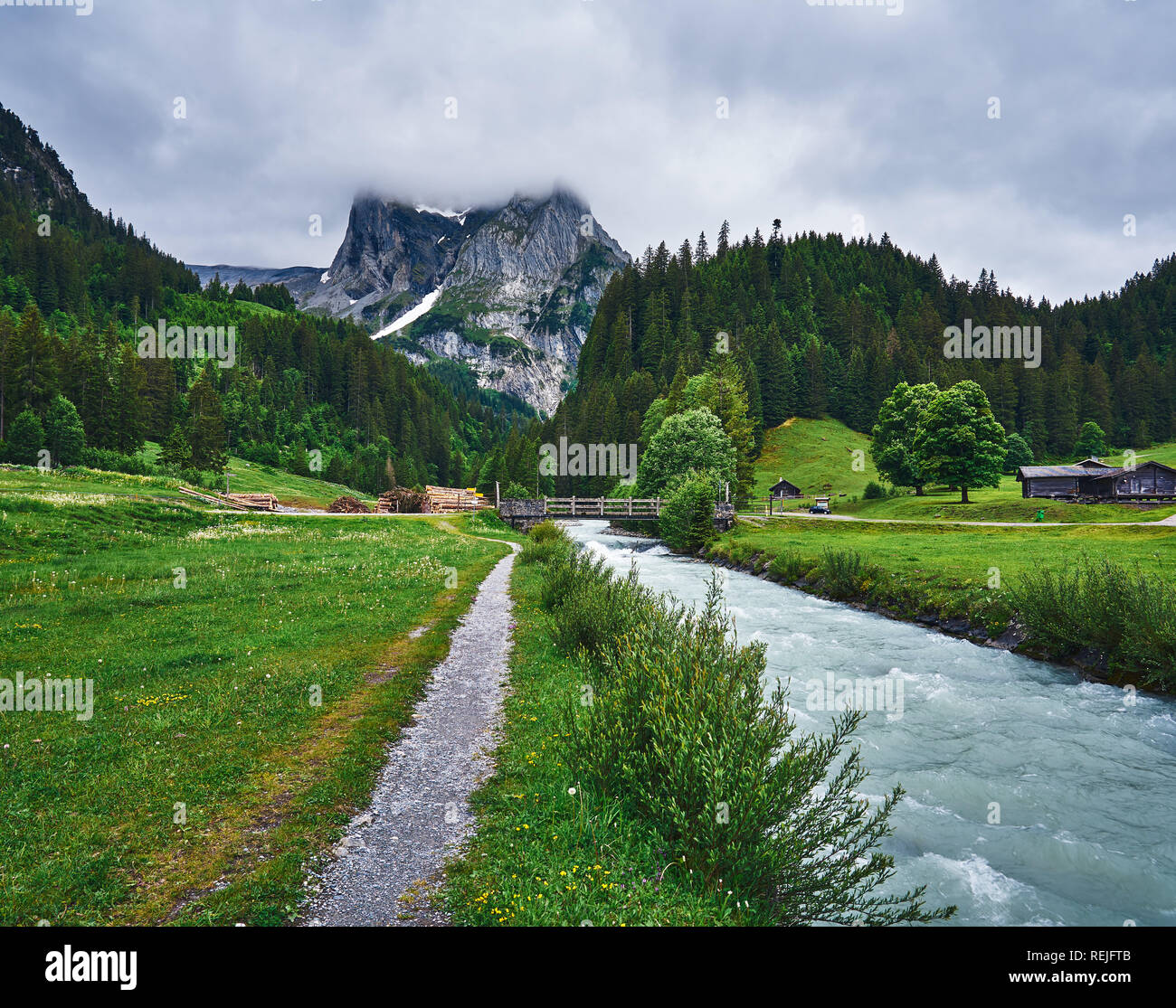 Paesaggio del fiume Rychenbach, prato e natura verde delle Alpi svizzere in una giornata di pioggia. Presa nella valle alpina Reichenbachtal, Oberhasli, cantone di Berna Foto Stock