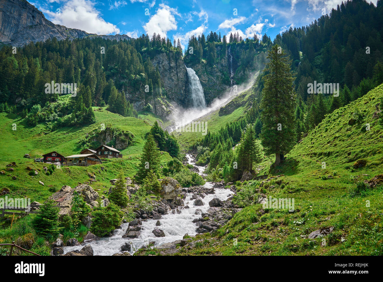 Splendido panorama paesaggistico dalle Alpi Svizzere, con mucche, cascate, prato e case coloniche. Presa nel villaggio di Äsch (Asch), cantone di Uri, Svizzera. Foto Stock
