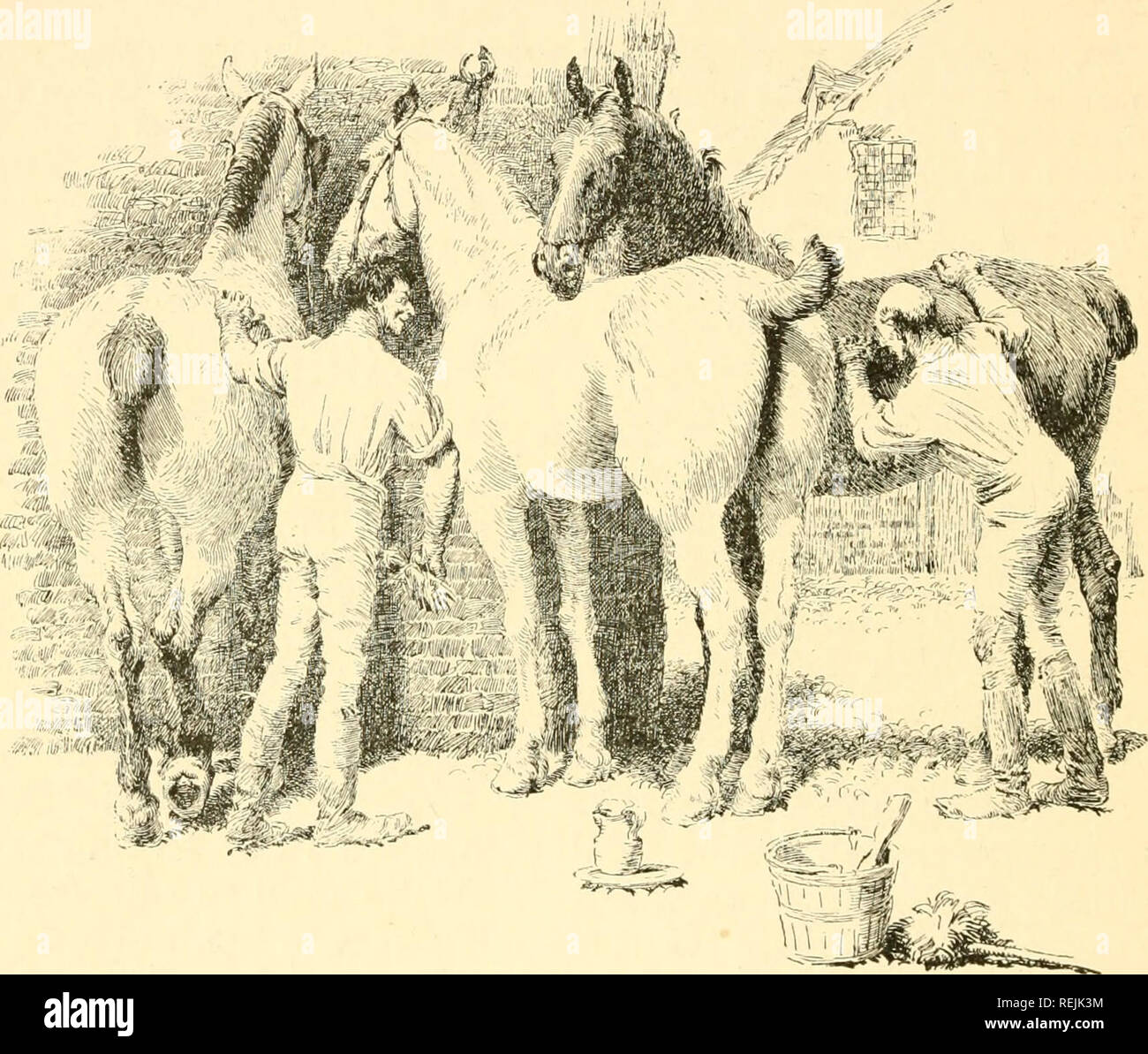 . Coaching giorni &AMP; i modi. Cavalli; Coaching (trasporto) -- Inghilterra; Inghilterra -- La vita sociale e la dogana. 226 giorni di coaching e coaching modi vi è stata un po' di storia. Per qui per iniziare, nel 1581, Elisabetta è andato a bordo di Drake's ship, il Golden Hind, in cui il più grande dei marinai Enghsh aveva circumnavigare il globo. A bordo della Golden Hind la regina cenato, e dopo cena nominato cavaliere comandante.. Il wc. Ho letto che la nave è stata successivamente prevista in un cantiere qui, e convertito in una sorta di sala da pranzo-house per i turisti a Londra ; in tal caso tutto quello che posso dire è che spero che Foto Stock